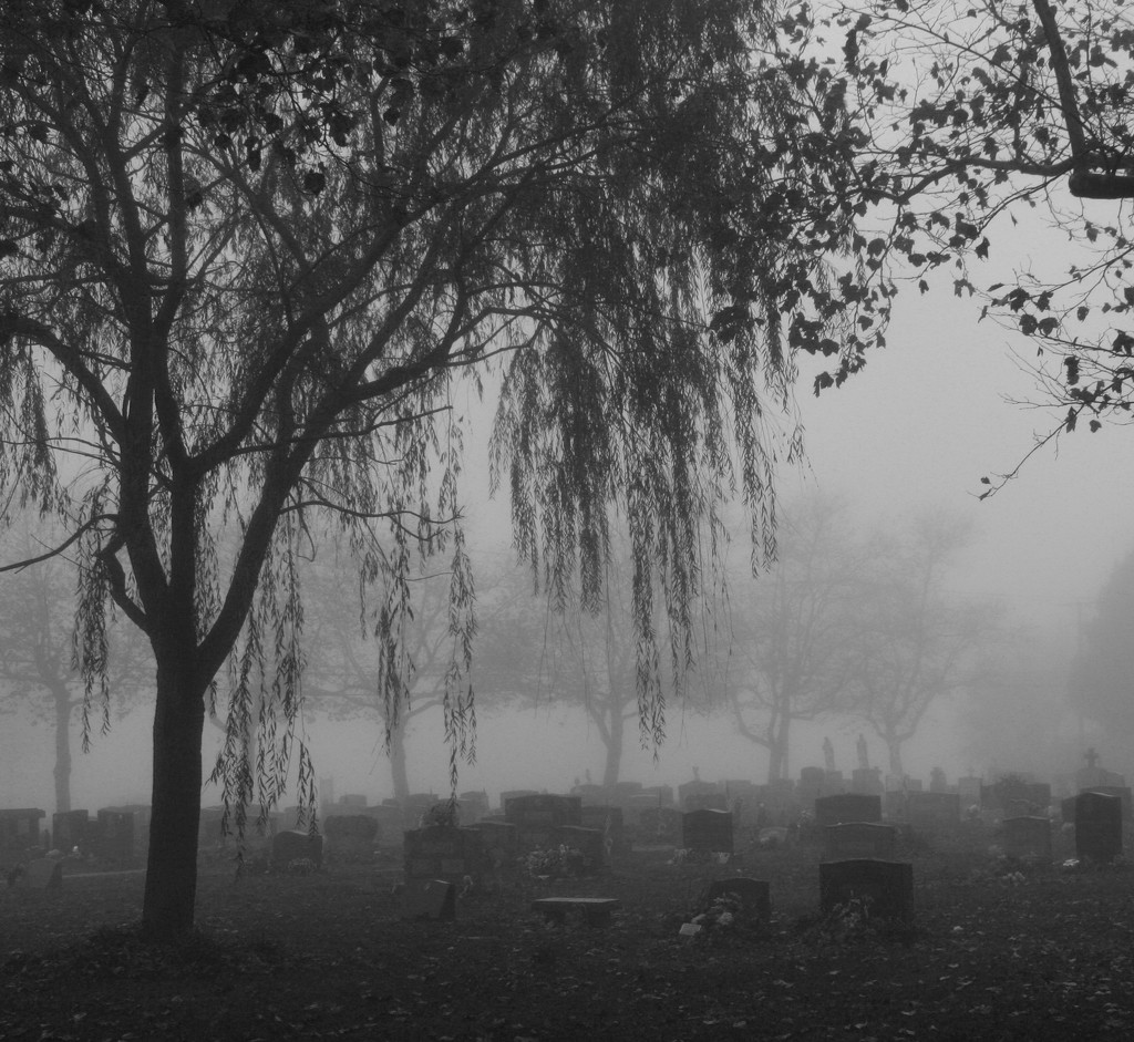 foggy day by hjbenson