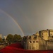 Day 312, Year 2 - Double Rainbow Over Blood Swept Land And Seas of Red by stevecameras