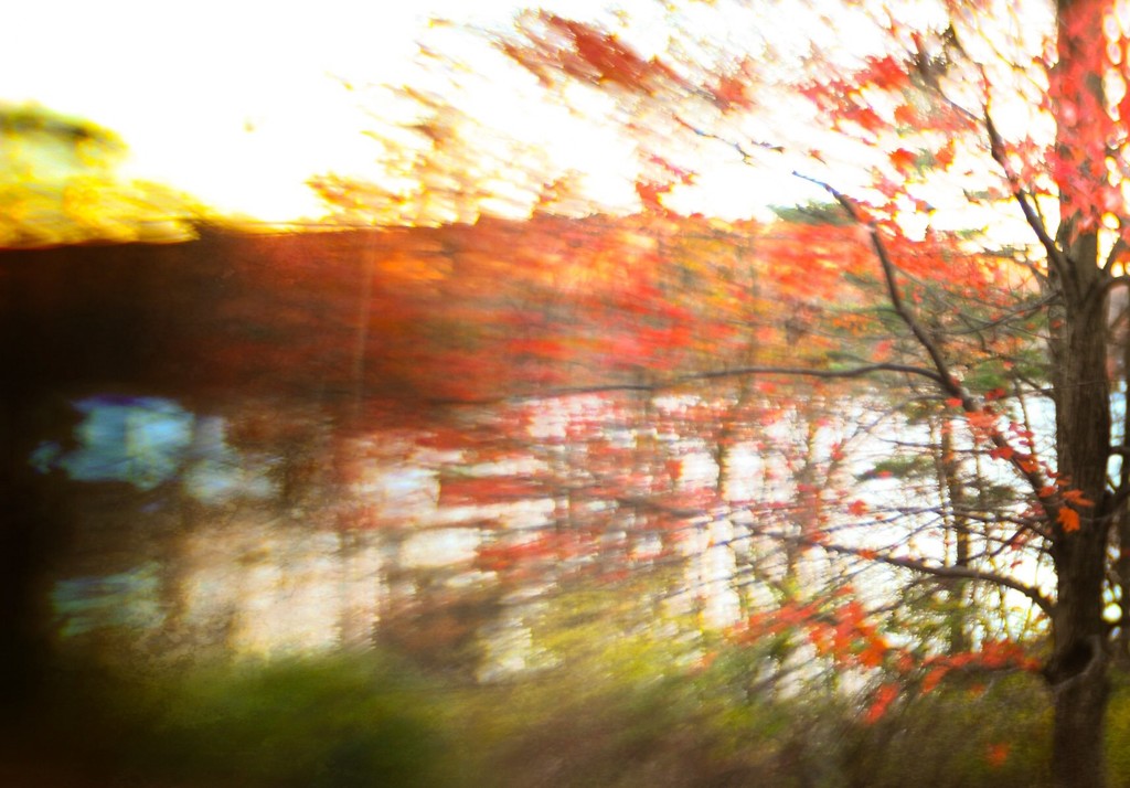 Lensbaby Lakeview by mzzhope