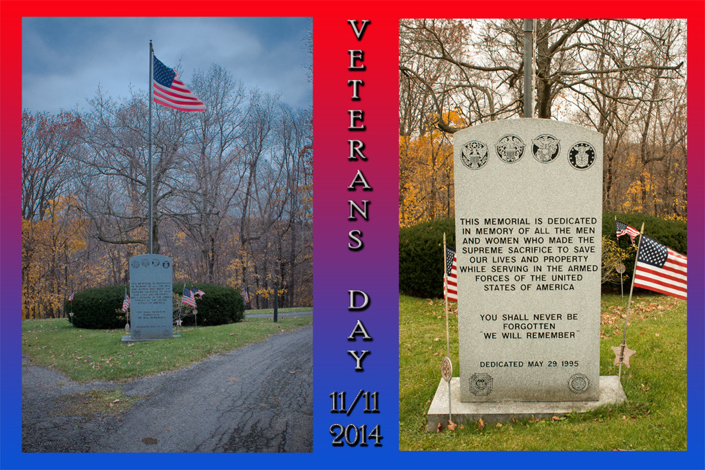 Veteran's Day 11/11/2014 by skipt07