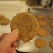 Ginger Spice Cookies by selkie