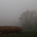 Damp And Foggy by digitalrn
