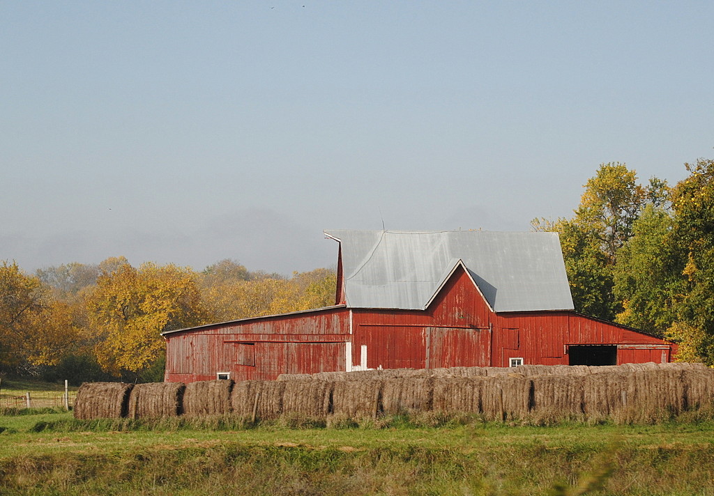 Barn Behind the Bales  by genealogygenie