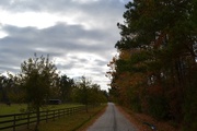 13th Nov 2014 - Country road, Dorchester County, SC