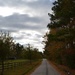 Country road, Dorchester County, SC by congaree