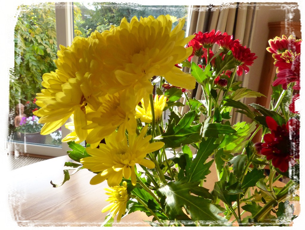flowers in sunshine by quietpurplehaze