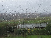 13th Nov 2014 - Wet and windy