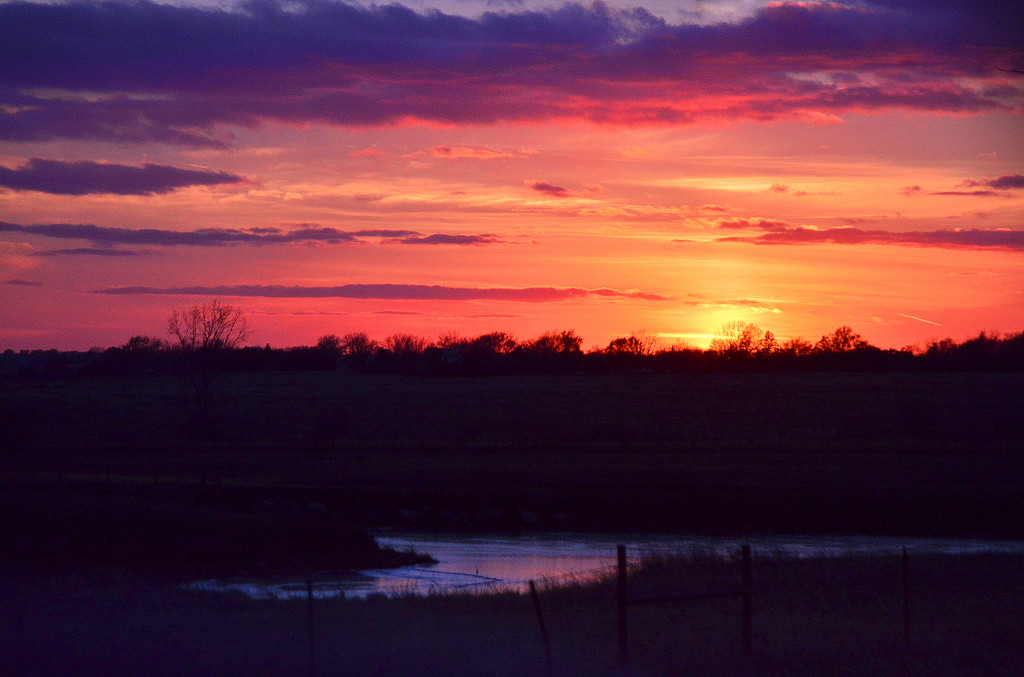 Pond Under Kansas Sunset by kareenking