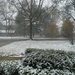 Front Yard 2:  Snow Flurries by annepann