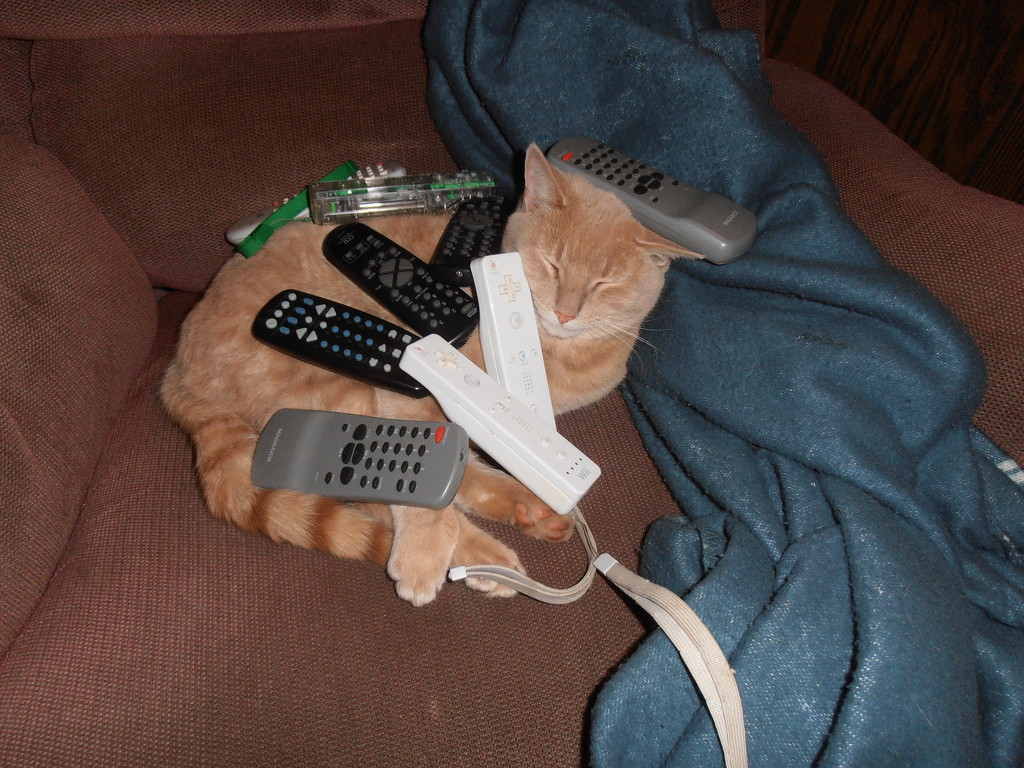 Remote Control Kitty by julie