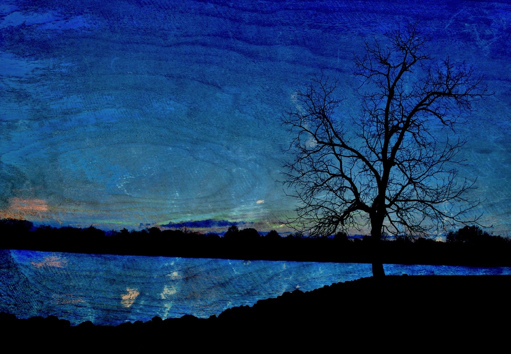 Alone Tree is Feeling Blue by alophoto