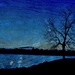 Alone Tree is Feeling Blue by alophoto