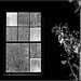 Mondrian's Barn Window by olivetreeann