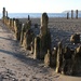 Old Pilings by whiteswan