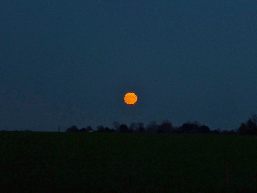 Moonrise by lellie