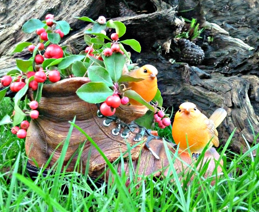 Old boot and berries by wendyfrost