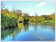 15th Nov 2014 - Abington Park Lake And Islands In Autumn