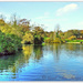 Abington Park Lake And Islands In Autumn by carolmw