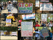 15th Nov 2014 - G20 Protests - The Signs