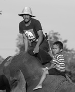 15th Nov 2014 - Late afternoon Mahout and son time......