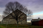 13th Nov 2014 - Tree And A Barn