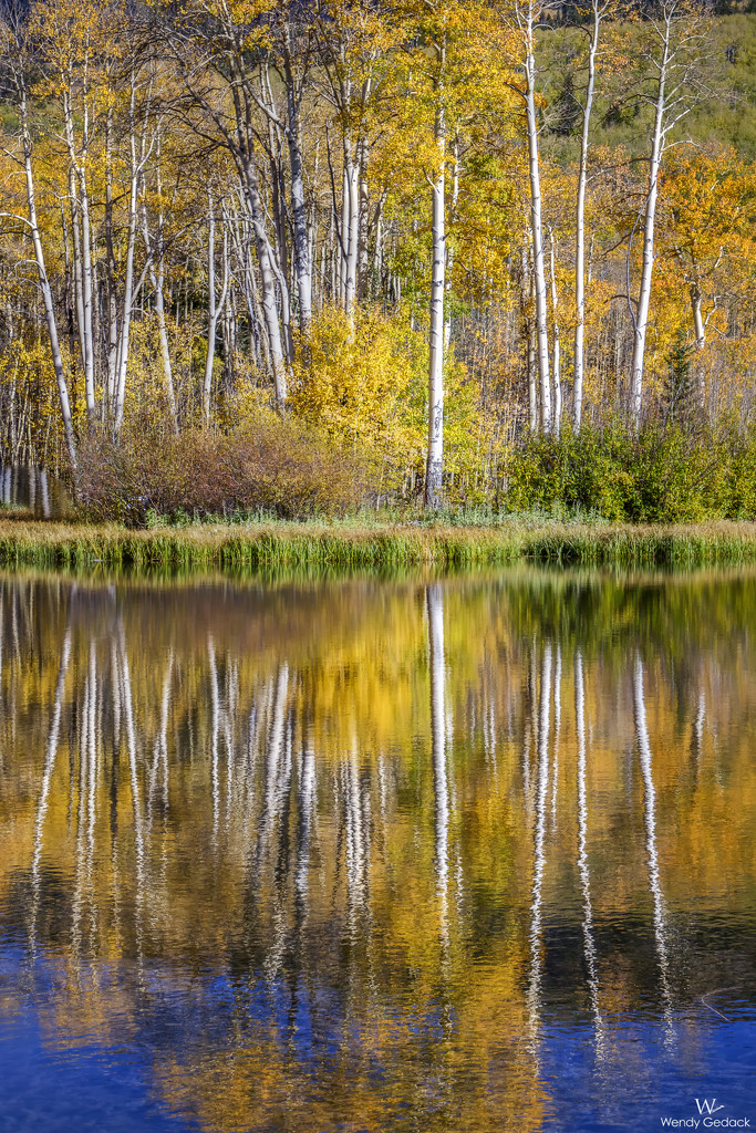 Aspen Abstracts by exposure4u