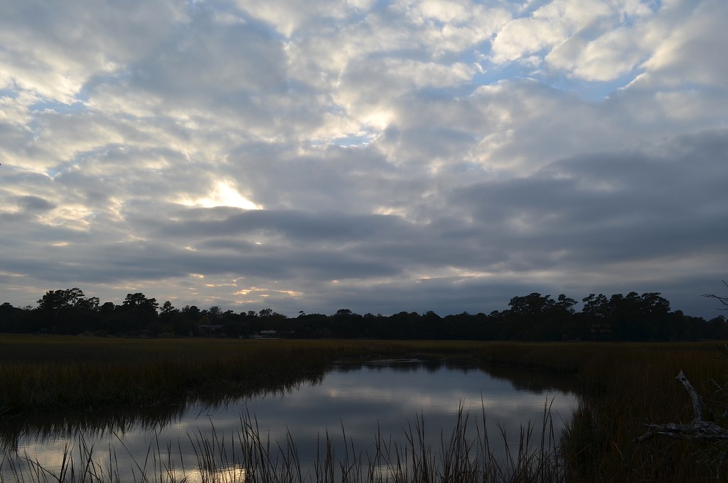 Old Towne Creek and clouds, Charles Towne Landing State Historic Site., Charleston, SC by congaree