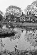 16th Nov 2014 - local village pond.