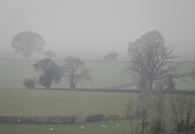 16th Nov 2014 - A misty morning.
