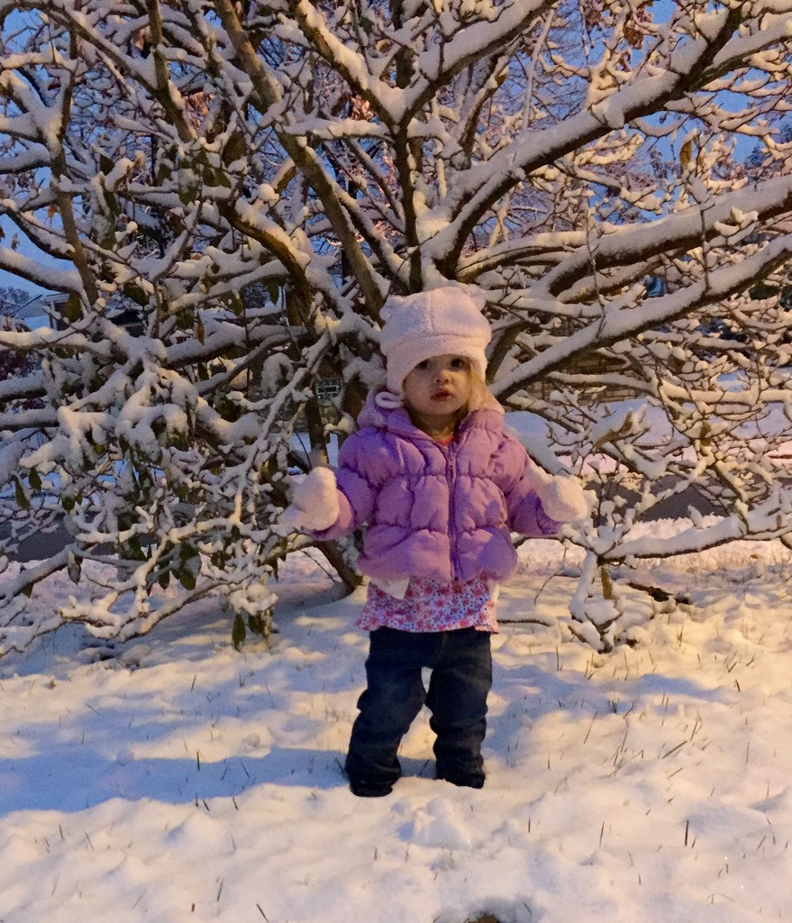 First snow of the season. Adalyn is not impressed by mdoelger