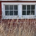 Old Barn Windows by harbie