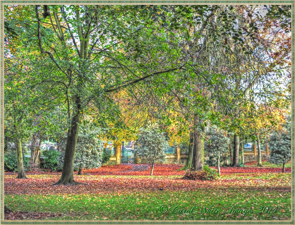 Colourful Autumn Carpet by carolmw