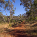 Australian path in the bush by gosia