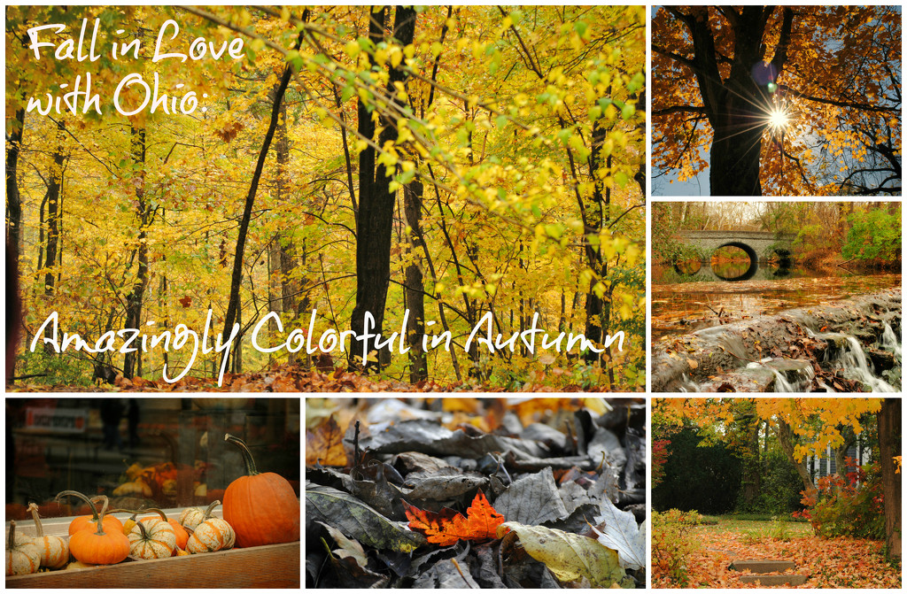 Amazing Autumn in Ohio Ad by alophoto