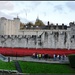 Poppies at the Tower by rosiekind