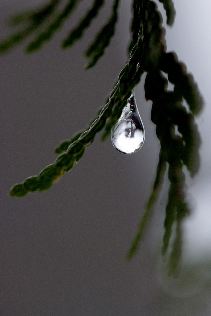 Frozen Droplet! by fayefaye