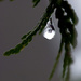 Frozen Droplet! by fayefaye