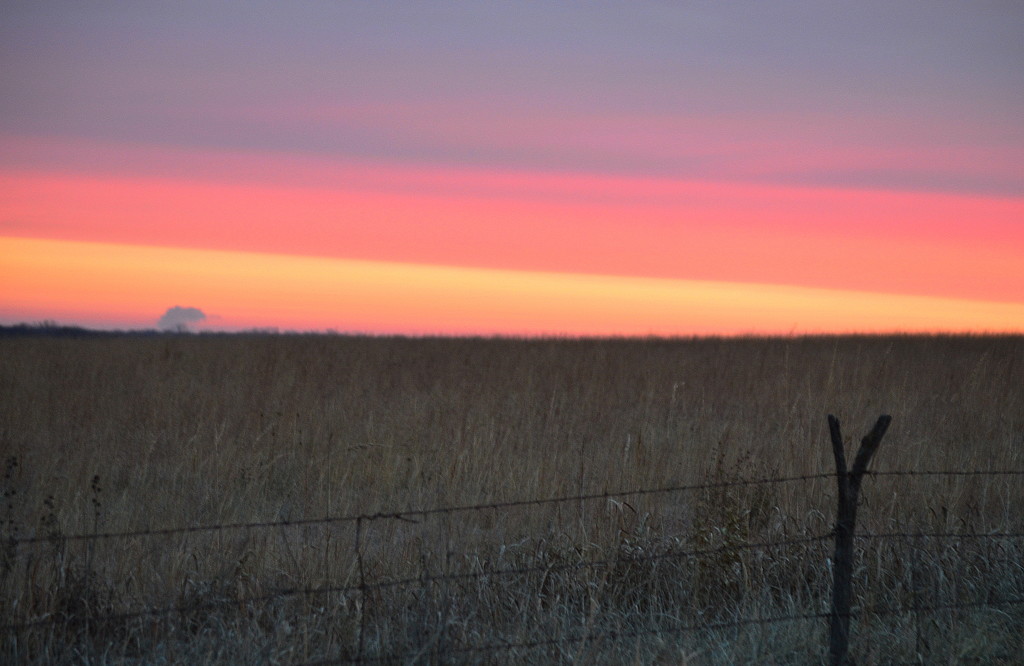 Convergence with Fence by kareenking