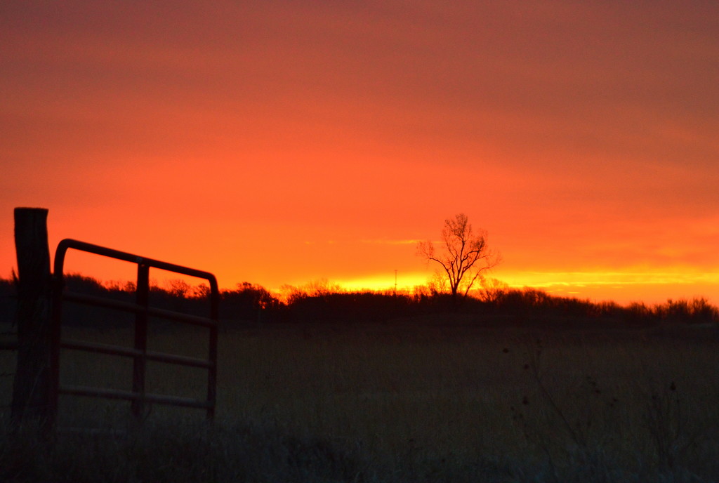 Gate to the Tree of Light by kareenking