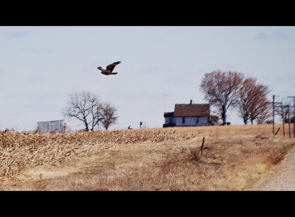 Rural Scene by kareenking