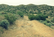 18th Nov 2014 - desert trails