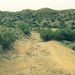 desert trails by blueberry1222