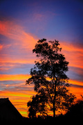 17th Nov 2014 - Technicolor sunset