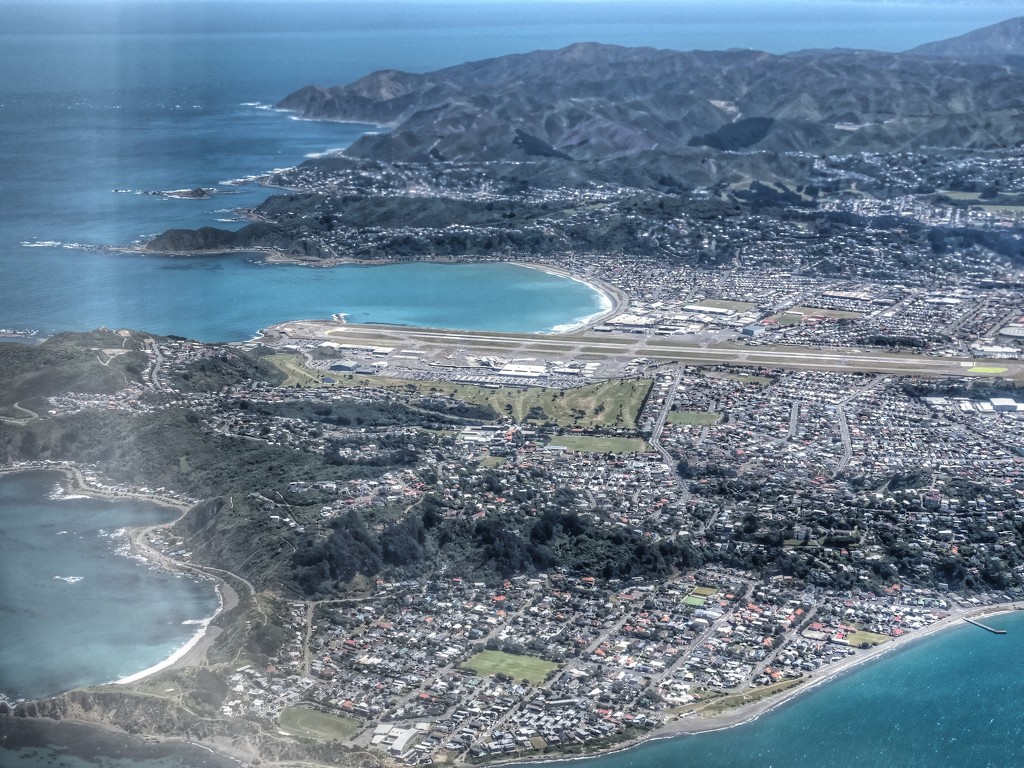 Wellington from the air by maggiemae