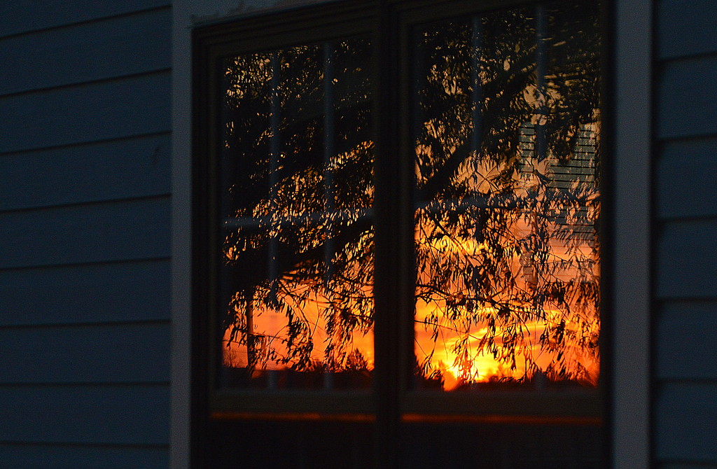 Sunset on My Window by kareenking