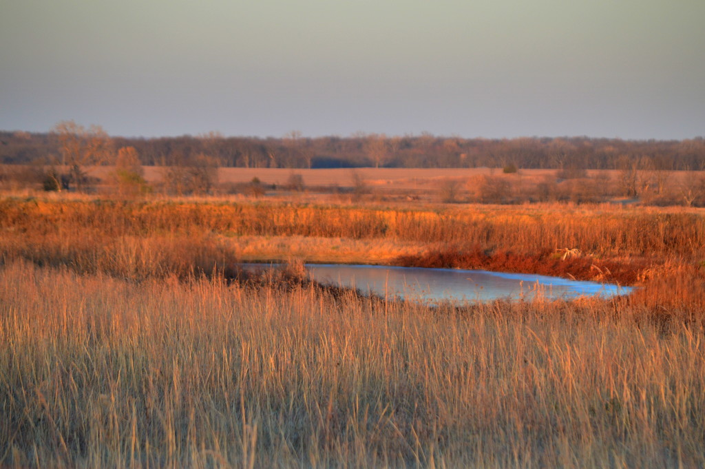 Crystal Blue Meets Golden Hour by kareenking