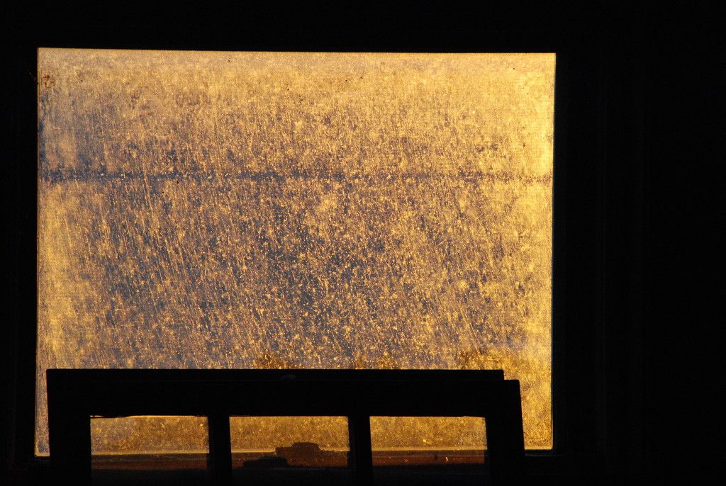 Sunshine on the Frost on the Garage Window by genealogygenie