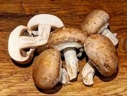 19th Nov 2014 - Mushrooms