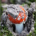 The birth of a toadstool by pyrrhula