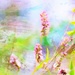 September Pastels by lynnz